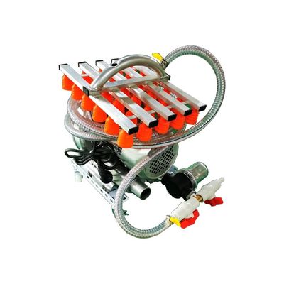 acheter Capacité personnalisable Lecteur d'œufs sous vide 30 œufs par lot 304 en acier inoxydable fabrication en ligne