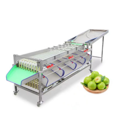 acheter Les hôtels bénéficient de la sélection du poids des fruits et de la classification automatique de la taille des fruits pour la machine de transformation des fruits et légumes fabrication en ligne
